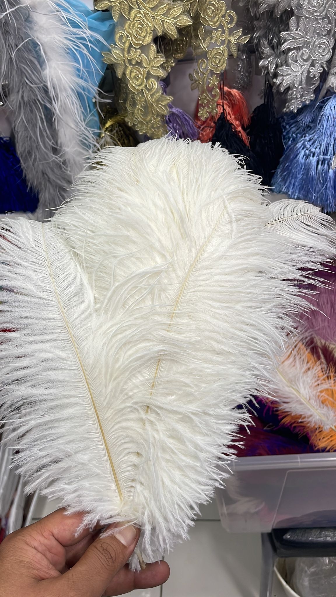 Beyaz%20Deve%20kuşu%20Tüyü