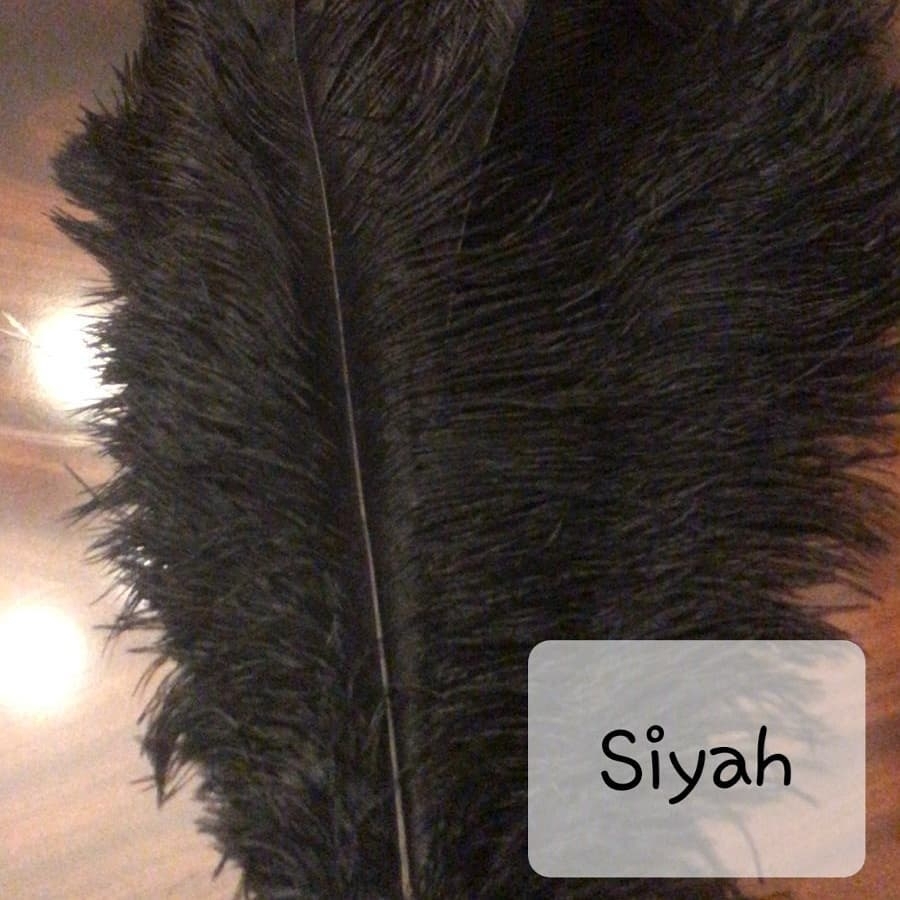 Siyah%20Deve%20kuşu%20Tüyü