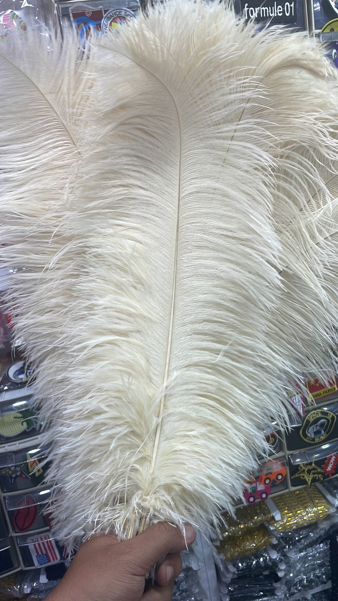 Beyaz%20Deve%20kuşu%20Tüyü