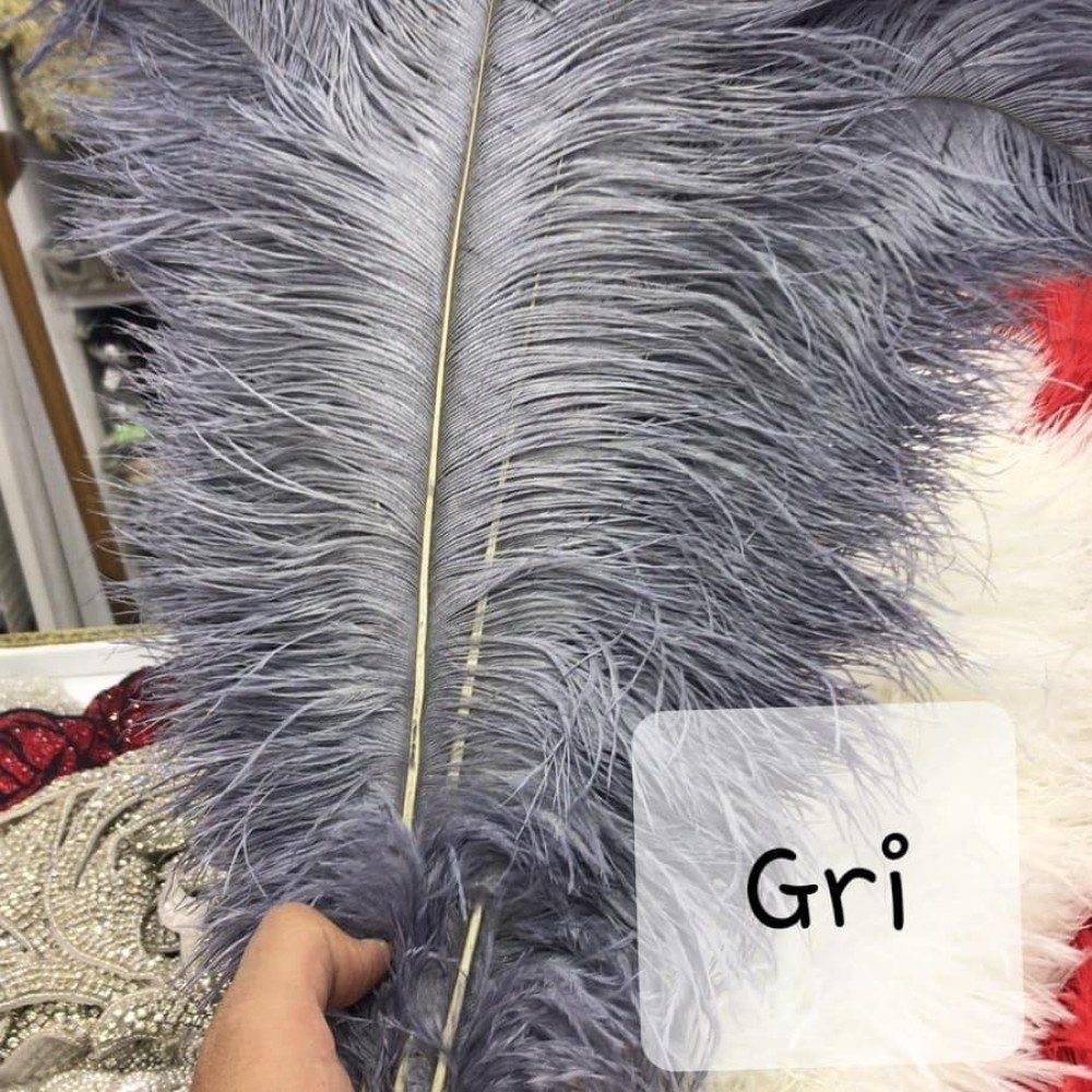 Gri%20Devekuşu%20Tüyü