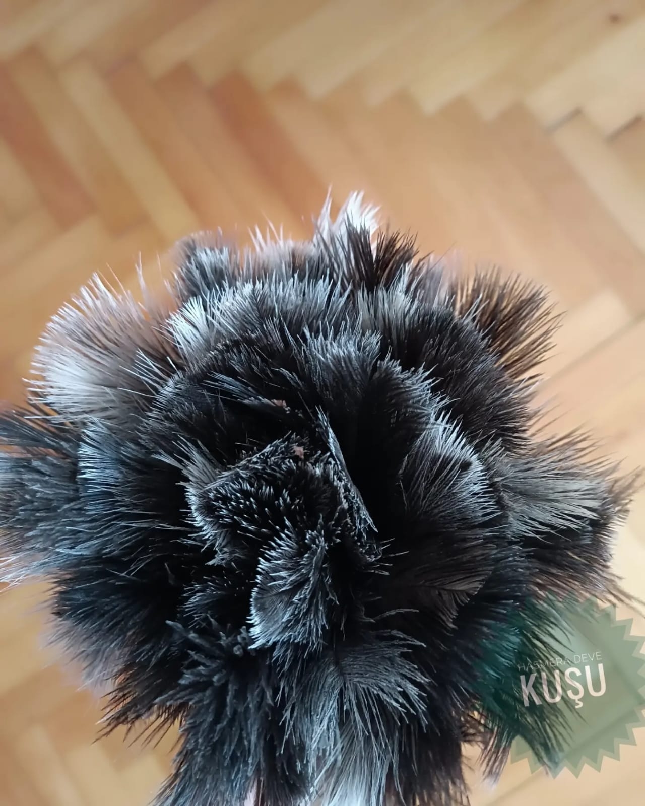 Deve%20kuşu%20Tüyü%20Fırça