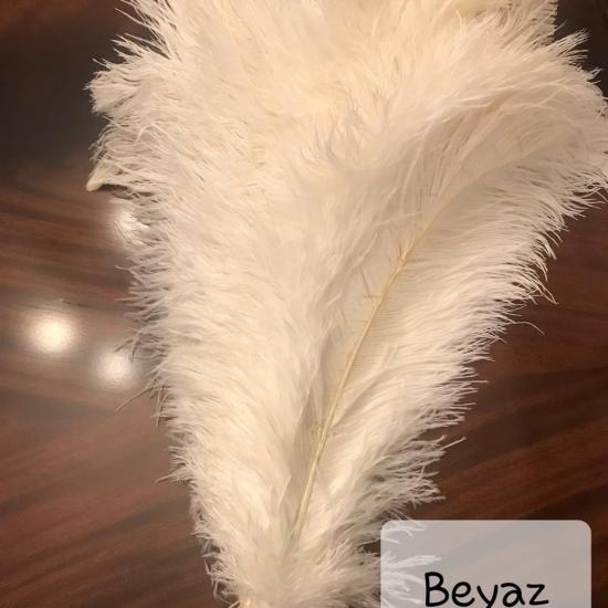 Beyaz Deve kuşu Tüyü
