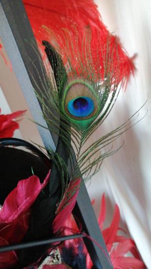 Kısa Tavus Kuşu Tüyü