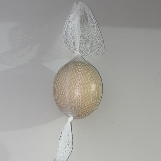 Örümceklik Deve kuşu Yumurtası