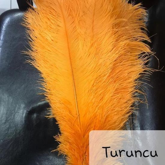 Turuncu Devekuşu Tüyü